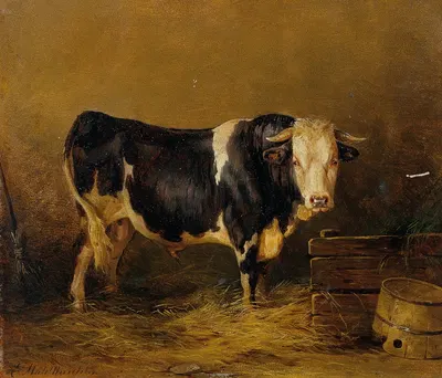 Stier im Stall by Edmund Mahlknecht — digital art print download
