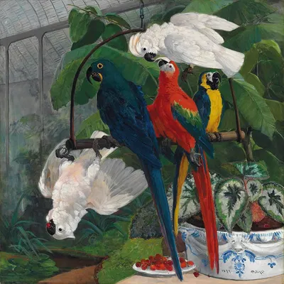 Parrots in a tropical glasshouse by Филиппо Палицци — digital art print download
