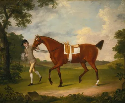 Sprightly, A Lady's Hack Held By A Groom In A Landscape by Francis Stringer, 1768 — digital art print download