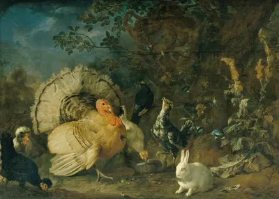 Hausgeflügel und Kaninchen by Franz Werner von Tamm, 1706 — digital art print download