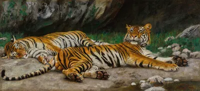 Resting Tigers by Геза Вастаг — digital art print download