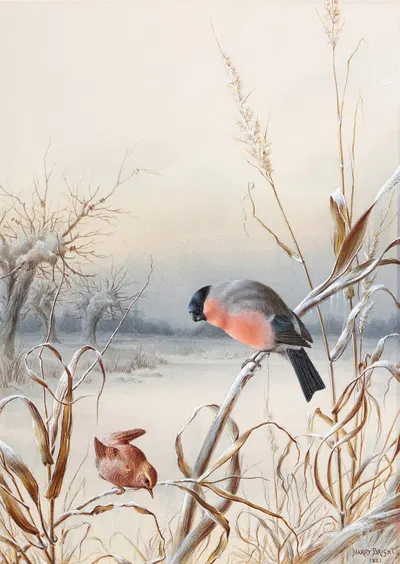 Winter – A Cock Bullfinch and Wren by Harry Bright — digital art print download