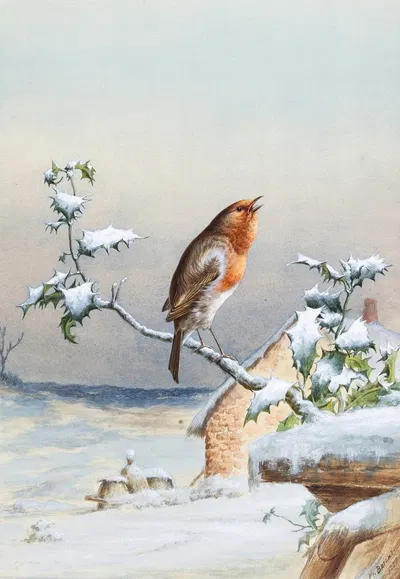 Winter – A Cock Robin by Harry Bright — digital art print download