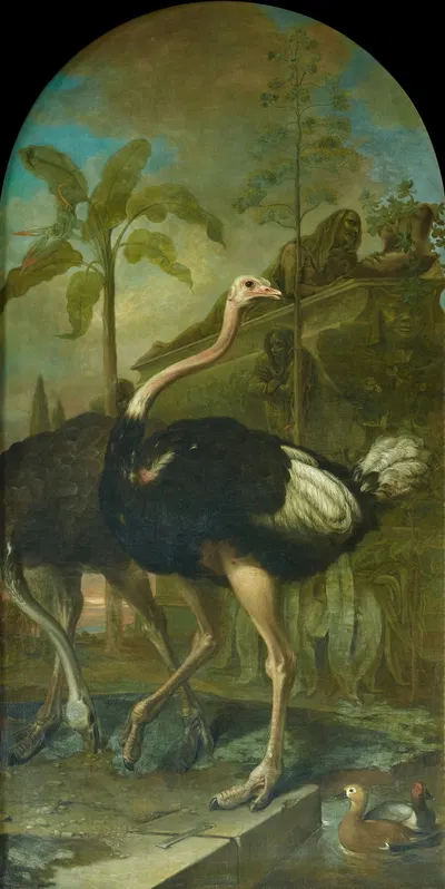 Ein Straußenpaar, im Hintergrund ein Sarkophag by Ignaz Heinitz von Heinzenthal, 1723 — digital art print download