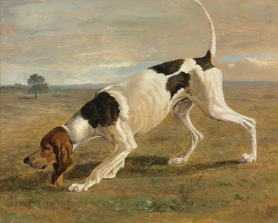A pointer in a landscape by Жак-Лоран Агаз — digital art print download