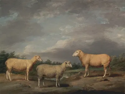 Ryelands Sheep, the King's Ram, the King's Ewe and Lord Somerville's Wether by James Ward, 1801-1807 — digital art print…