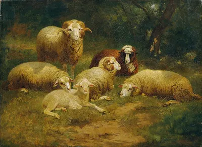 Schafe by Иоганн Баптист Хофнер, 1870 — digital art print download