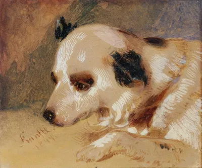 Hundekopf by Иоганн Маттиас Ранфтль — digital art print download