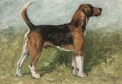 Tomboy, a beagle in a landscape by Джон Эмс, 1906 — digital art print download