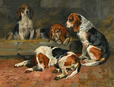Beagles – Fathers Of The Pack by Джон Эмс — digital art print download