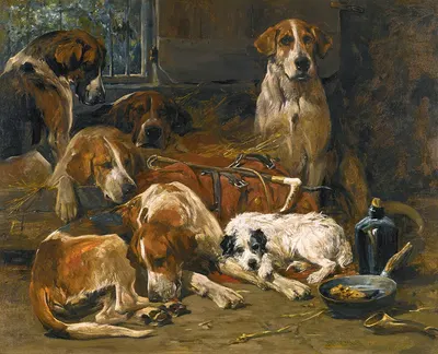 New Forest Buckhounds And A Terrier In Their Lodges After The Hunt by Джон Эмс — digital art print download