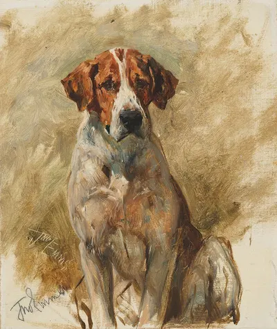 Study of a Hound by Джон Эмс — digital art print download