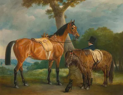 Lady Thorold's Hunter And Shetland Pony With Groom by Джон Фернли — digital art print download