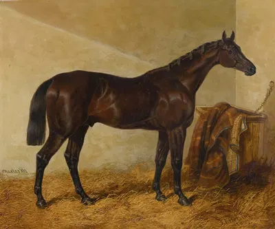 Charles Xii, Winner Of The St. Leger And Gold Cup, Doncaster by Джон Фредерик Херринг-старший, 1839 — digital art print…