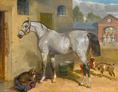 One Of The Scots Greys In A Yard With Dog And Goats by Джон Фредерик Херринг-старший, 1855 — digital art print download