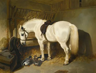 A Grey Pony In A Stable With Ducks by Джон Фредерик Херринг-старший, 1845 — digital art print download
