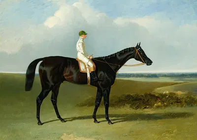 Mr O’Brien’S Dark Bay Racehorse Jonathan Wild With Jockey T. Ryder Up by Джон Фредерик Херринг-старший, 1846 — digital art…