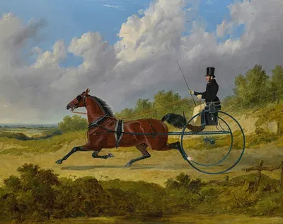 The Famous Trotter Confidence Drawing A Gig by Джон Фредерик Херринг-старший, 1842 — digital art print download