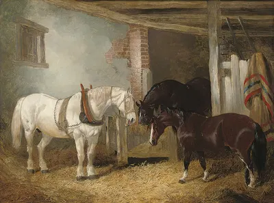 Three horses in a stable feeding from a manger by John Frederick Herring Jr., 1849 — digital art print download