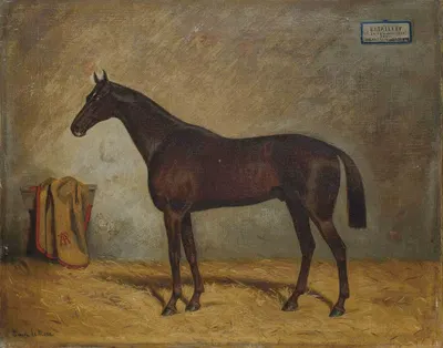 Un étalon noir à Kisber by Julius von Blaas, 1901 — digital art print download