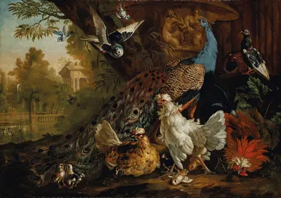 A peacock, chickens, pigeons and other birds in a landscape by Pieter Casteels III — digital art print download