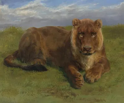 Lioness At Rest by Роза Бонёр, 1874 — digital art print download