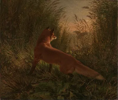 A Fox by Зигвальд Даль, 1868 — digital art print download