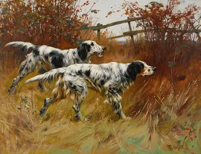 English Setters by Thomas Blinks — digital art print download
