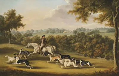 Colonel Newport Charlett's Favourite Greyhounds, at Hanley Court, Worcestershire by William Henry Davis — digital art print…