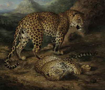 Two leopards by William Huggins — digital art print download