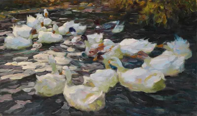 Ducks in the evening sun by Александр Кёстер, 1914 — digital art print download