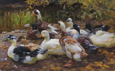 Meine Enten (Elf Enten am Ufer) by Александр Кёстер, 1909-1913 — digital art print download