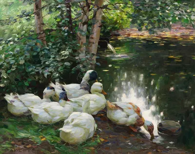 Sechs Enten am Teichufer by Александр Кёстер, 1908 — digital art print download