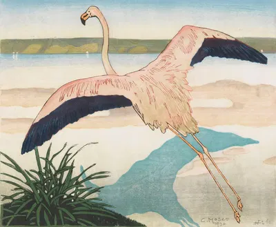 Flamingo, zweite Fassung by Carl Moser — digital art print download