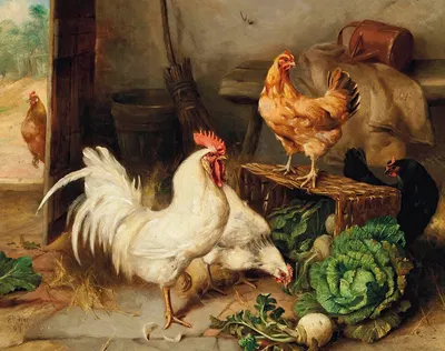 Chickens and cockerel in a barn by Edgar Hunt — digital art print download