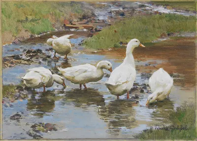Enten am Wasser by Франц Ксавер Грэссель — digital art print download