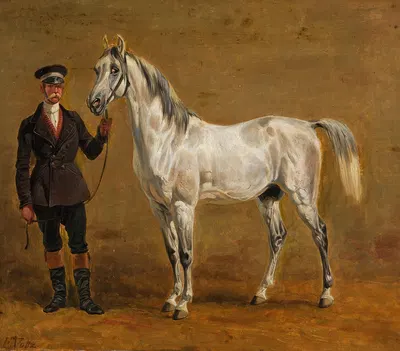 Schimmel mit Rittmeister by Фридрих Вольц, 1840 — digital art print download