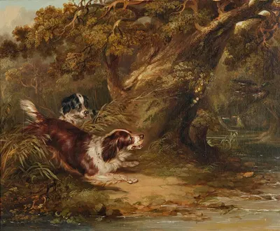 Spaniels putting up duck by George Armfield — digital art print download
