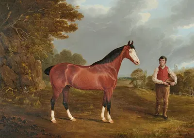 The racehorse 'Whiteface' with groom J. Gilham by Джон Фредерик Херринг-старший — digital art print download