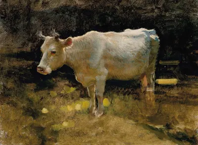 Study of a cow in a meadow by Джозеф Фаркуарсон — digital art print download