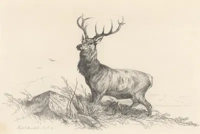 The Sentinel by Richard Ansdell, 1857 — digital art print download