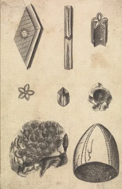 Crystals and Fossils by Richard Brookes — digital art print download