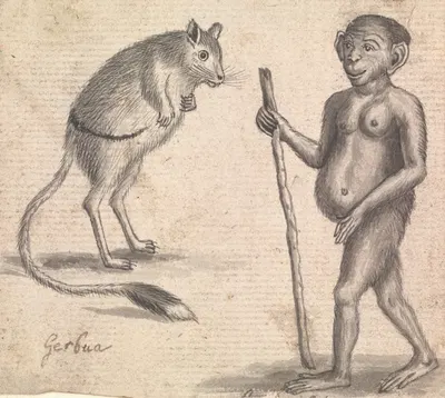 Monkey by Richard Brookes — digital art print download
