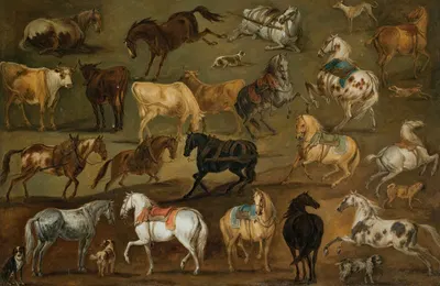 Studies of horses, cows and dogs by Адам Франс ван дер Мюлен — digital art print download