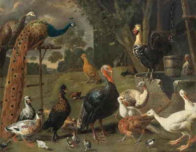 Peacock and peahen on a perch, turkeys, a pheasant and poultry by a well by Адриан ван Утрехт, 1652 — digital art print…