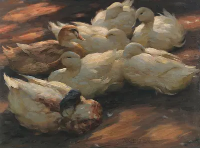 Enten am Boden lagernd by Александр Кёстер — digital art print download