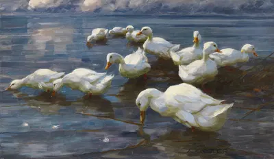Enten am Seeufer by Александр Кёстер, 1909-1913 — digital art print download