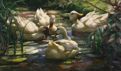 Enten auf dem Waldweiher by Александр Кёстер — digital art print download