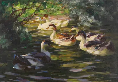 Sechs Enten auf dem Wasser unter Ufersträuchern by Александр Кёстер, 1905 — digital art print download