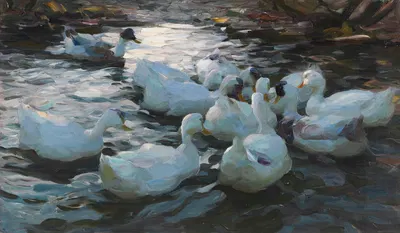 Elf Enten im Wasser by Александр Кёстер — digital art print download